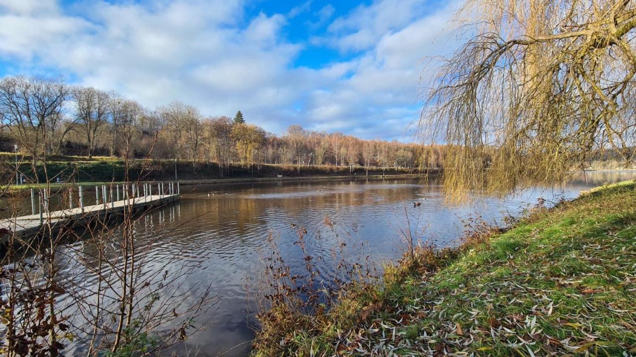 Le Salmoyard, Studio Au Bord Du Lac A ווילסלאם מראה חיצוני תמונה